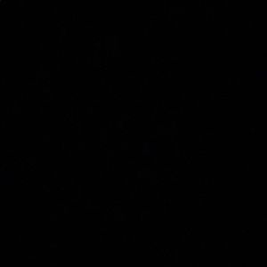 Meet your Posher, Bessy